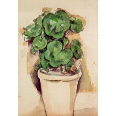 A Pot of Geraniums Painting Reproduction