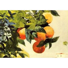 Oranges on a Branch Painting Reproduction