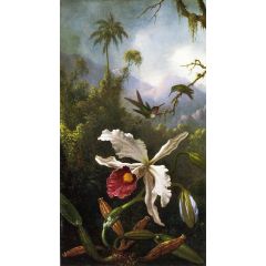 Two Hummingbirds above a White Orchid Painting Reproduction