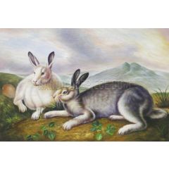 Arctic Hare Painting Reproduction