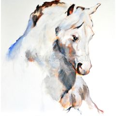 Abstract Horse Head