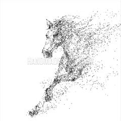 Black Horse Running