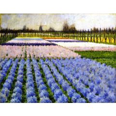 Holland, Hyacinth Garden Painting Reproduction