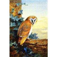A Barn Owl Painting Reproduction