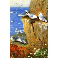 Seagulls Painting Reproduction