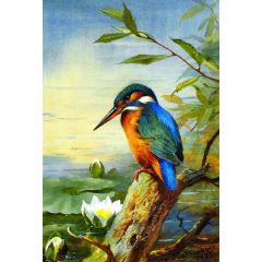 Kingfisher Painting Reproduction