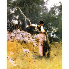 Capri Girl, Dans les Oliviers, à Capri Painting Reproduction