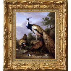 Peacock, Hen and Cock Pheasant in a Landscape by Tobias Stranover , Framed Painting Reproduction