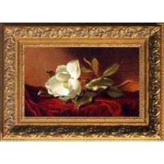 A Magnolia On Red Velvet by Martin Johnson Heade, Framed Painting Reproduction