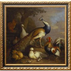 Peacock, Peahen and Poultry in a Landscape by Tobias Stranover, Framed Painting Reproduction