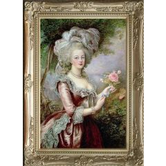 The Hidden Diary of Marie Antoinette by Carolly Erickson, Framed Painting Reproduction