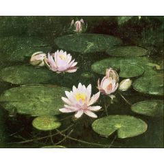 Waterlilies Painting Reproduction