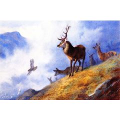 Red Deer Watching a Golden Eagle Hunt Ptarmigan Painting Reproduction