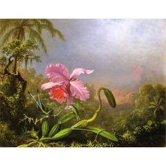 Two Hummingbirds by an Orchid Painting Reproduction