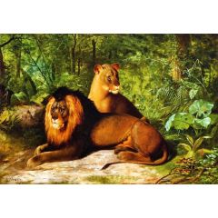 Lion and Lioness Painting Reproduction