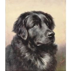 Newfoundland Painting Reproduction