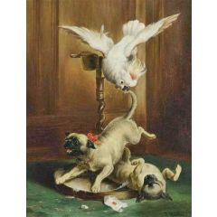 Parrot and Pugs Painting Reproduction