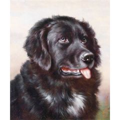Newfoundland Painting Reproduction
