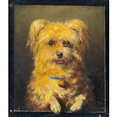 Portrait of a Dog Painting Reproduction