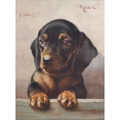 Young dachshund Painting Reproduction