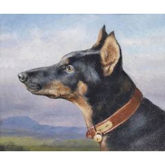Portrait of a Doberman Painting Reproduction