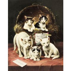 Surprise Painting Reproduction