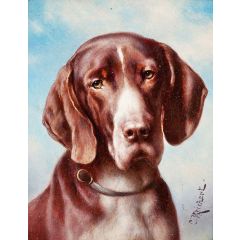 Portrait of a Dog Painting Reproduction