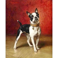 A French bulldog Painting Reproduction
