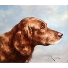 Irish Setter Painting Reproduction