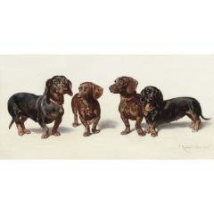 Four Dachshunds Painting Reproduction