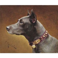 Black Doberman Painting Reproduction