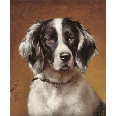 Study of a spaniel Painting Reproduction