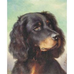 A Gordon setter Painting Reproduction