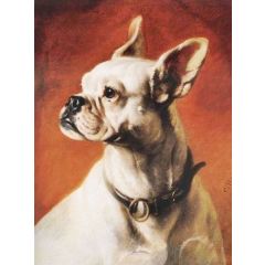 A French bulldog Painting Reproduction