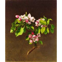 Apple Blossoms Painting Reproduction