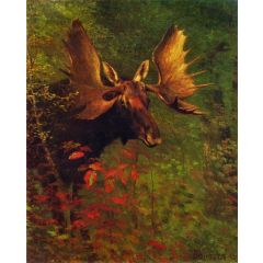 Study of a Moose Painting Reproduction