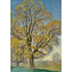 Elm Tree in Spring Painting Reproduction