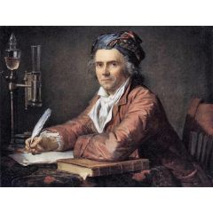 Portrait of Doctor Alphonse Leroy Painting Reproduction