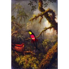 A Pair of Nesting Crimson Topaz Hummingbirds Painting Reproduction