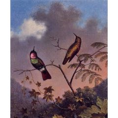 Brazilian Ruby Hummingbirds Painting Reproduction