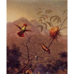 Tufted Coquette Painting Reproduction