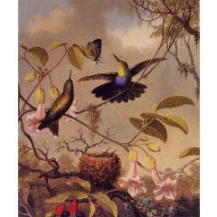 Fork-Tailed Woodnymph Painting Reproduction