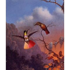 Hooded Visorbearer Painting Reproduction