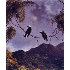 Snowcap Painting Reproduction