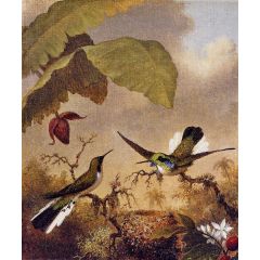 Black-Eared Fairy Painting Reproduction