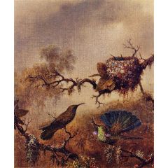 White-Vented Violet-Ear Painting Reproduction