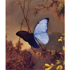 Blue Morpho Butterfly Painting Reproduction