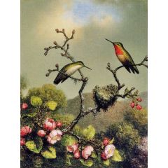 Ruby Throat of North America Painting Reproduction
