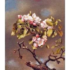 Branch of Apple Blossoms against a Cloudy Sky Painting Reproduction