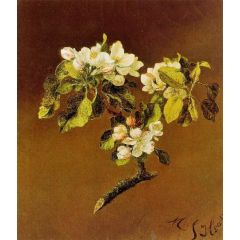 A Spray of Apple Blossoms Painting Reproduction